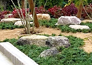 Ｙ様（津市）木曽石と甲賀石と玉竜でお庭